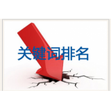 泰安网站关键词排名下降原因有哪些
